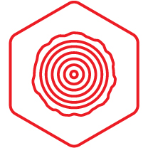 Smooth, previously painted, wooden and flexible surfaces